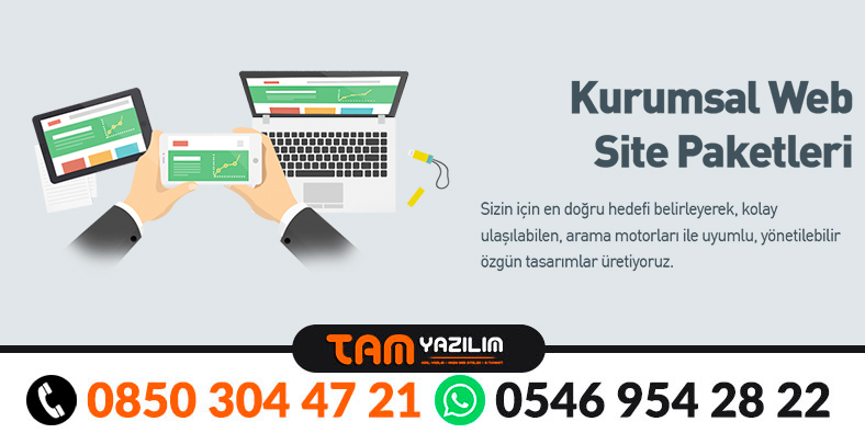 Hazır Raportör Tasarımı ve Raportör Yazılımı Kur